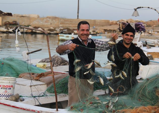 FISHMEDNET: A new bespoken diversification project for Mediterranean Artisanal Fisheries Enterprises